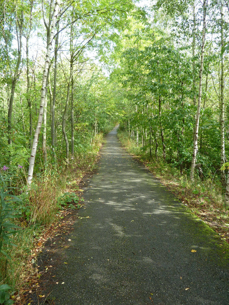 Old Railway Line